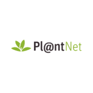 logo-tsar-postlab-1-62e3cbbb75089.png